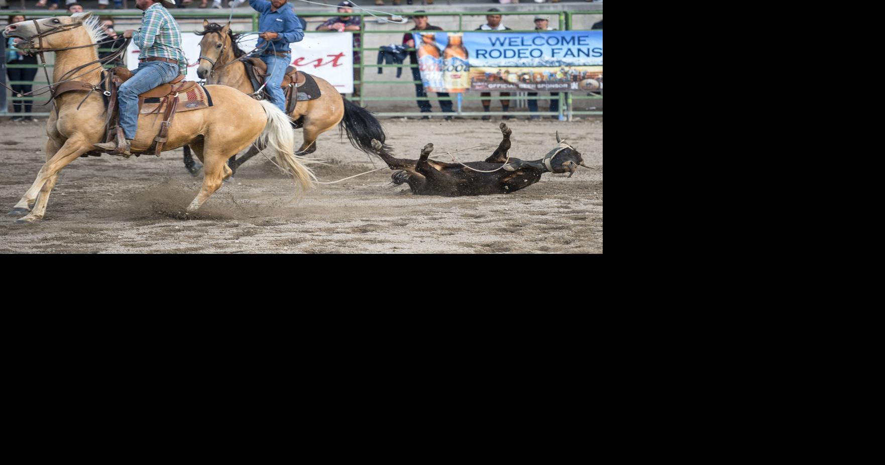 A full rodeo on a 3-day 4th weekend | Sports Features | jhnewsandguide.com