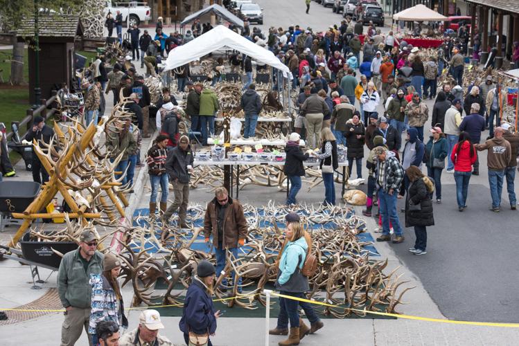 PHOTO GALLERY: ElkFest 2019 | Galleries | jhnewsandguide.com