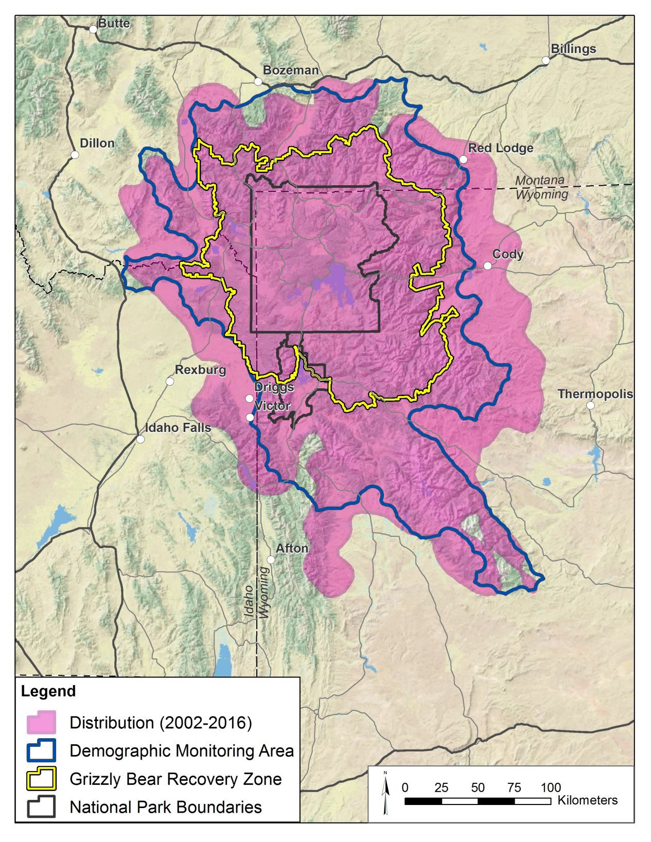 Grizzly Range Is Stretching Local Jhnewsandguide Com   58ddb3894d7a4.image 