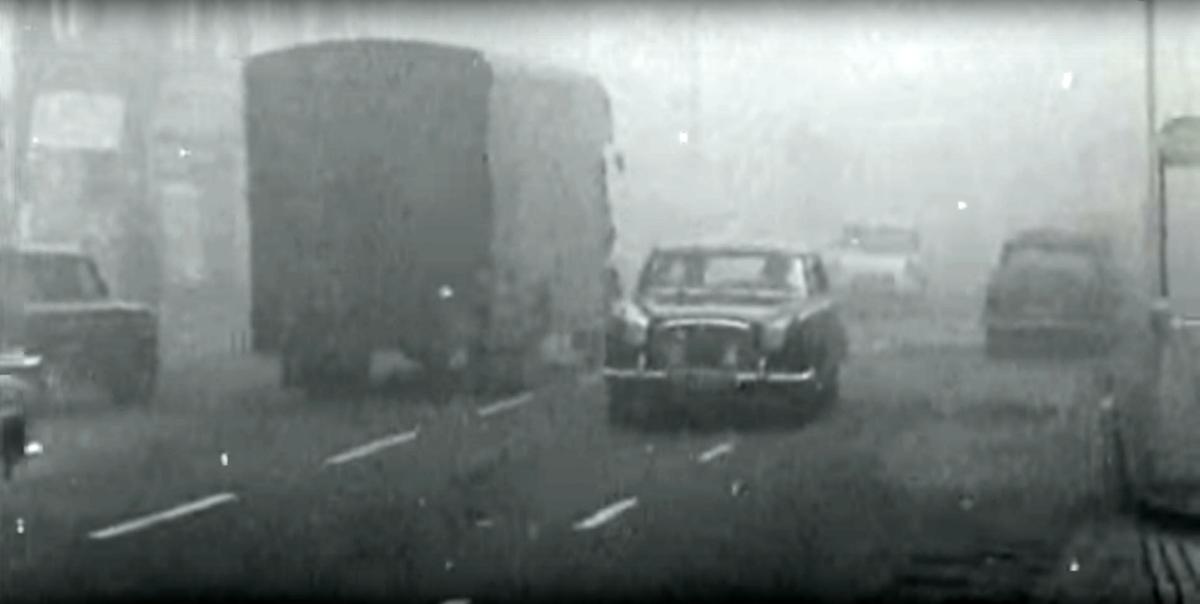 Films show how the environment kills Film