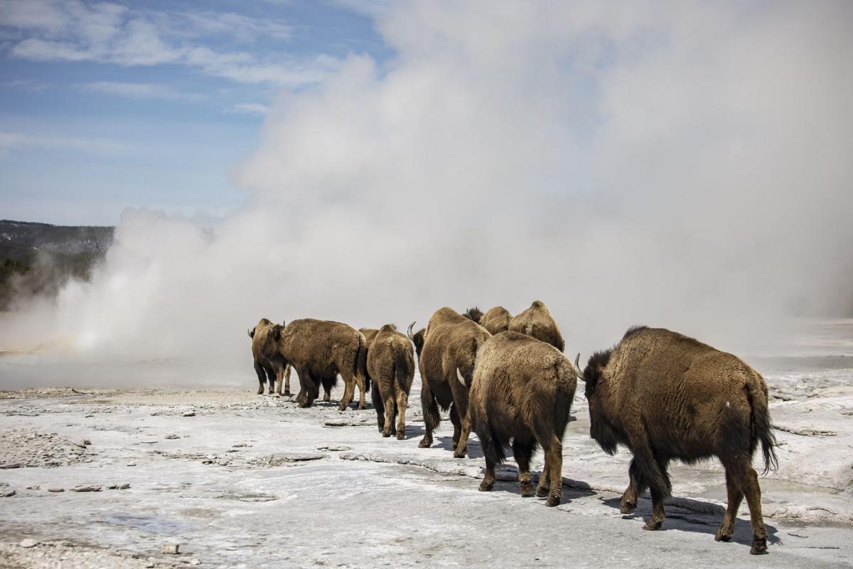 Yellowstone during off-season