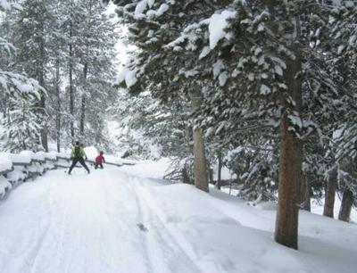 Yellowstone In Winter A Magical Experience Excursion
