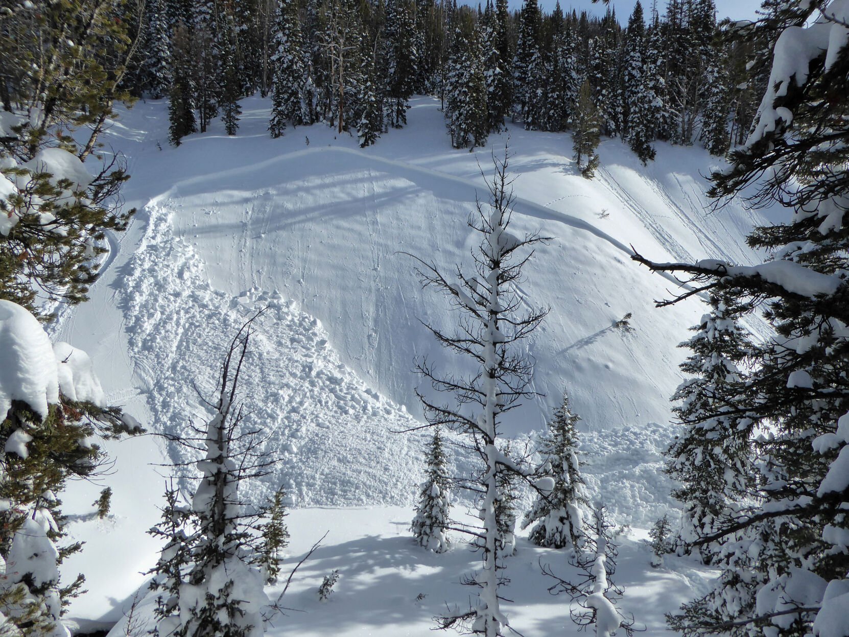 Fatal LaBarge Creek avalanche caused by weak layer present in