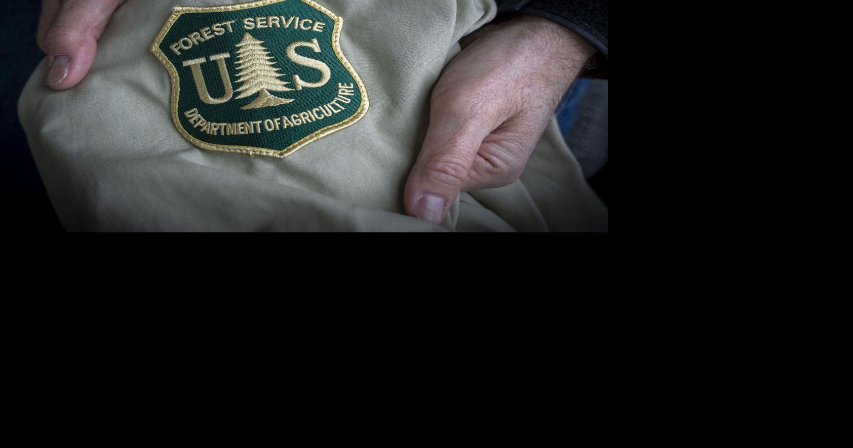 Forest Service begins implementing 'sweeping restructuring'