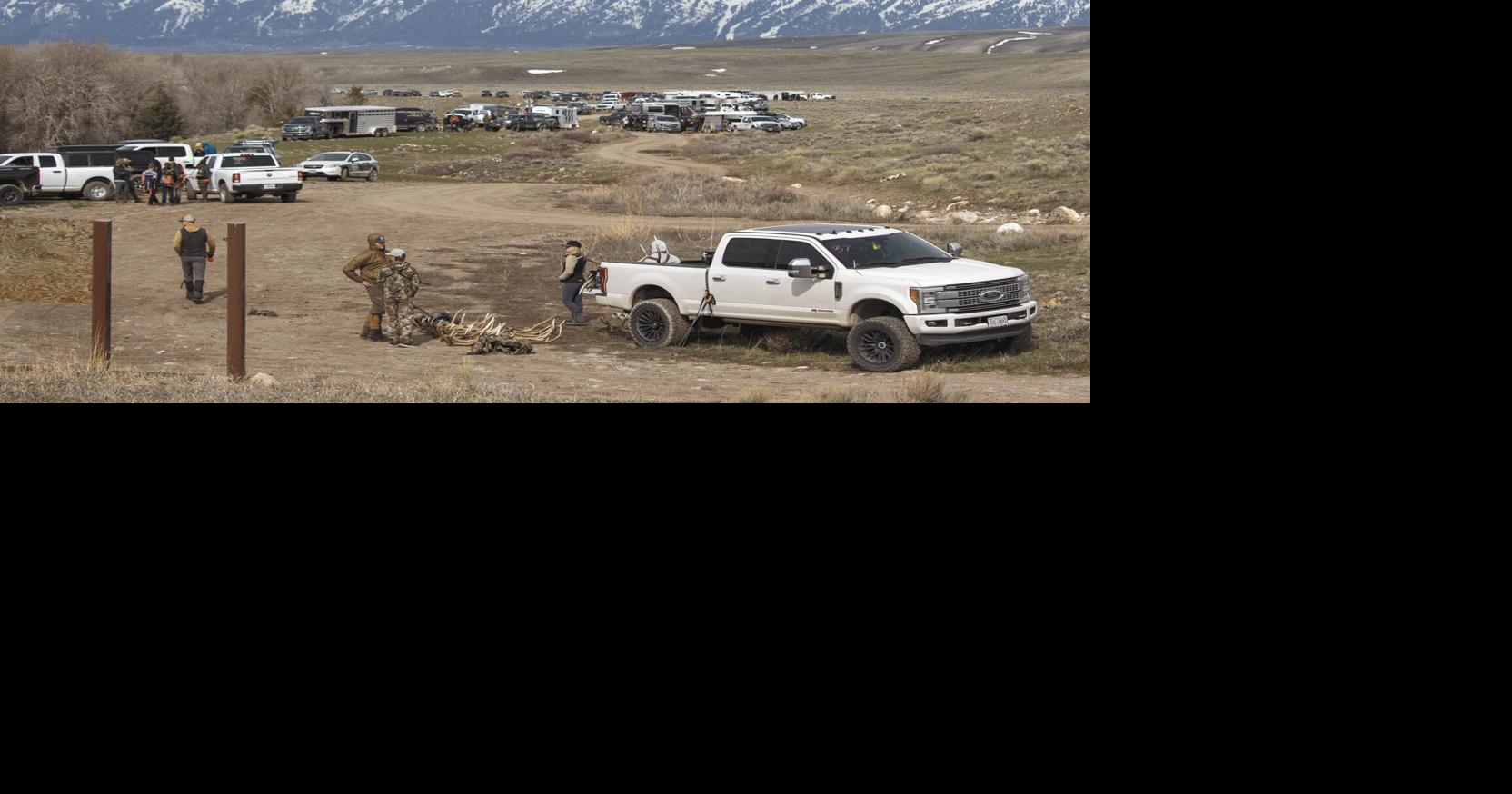 Jackson Hole shed hunters ran, rode, floundered Flipboard