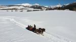 Double Diamond Bar Ranch sleigh rides