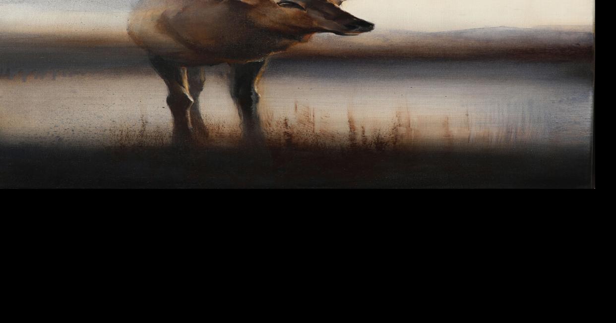Finding beauty in the pause: Turner unveils 'Beckoned by the Wild' exhibit