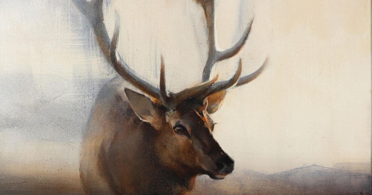 Finding beauty in the pause: Turner unveils 'Beckoned by the Wild' exhibit