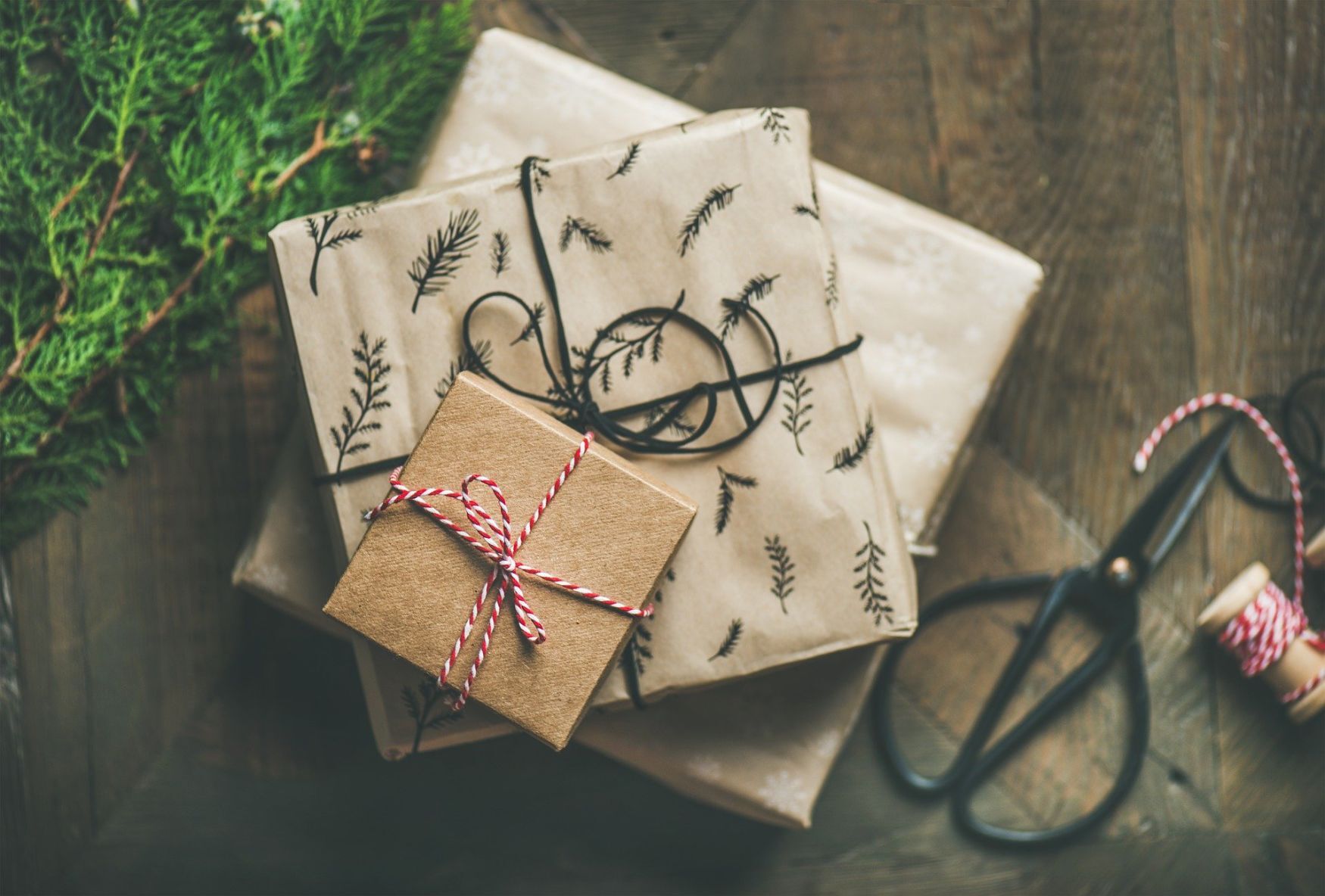 The 22 Best Local Books to gift for Christmas 2020, Jackson Hole - Vimarsana News