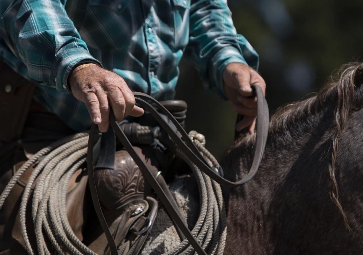 The man behind the Black Rock Ranger District horses, Jack Hatch