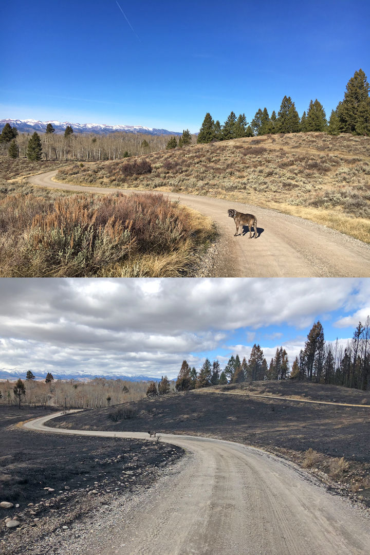 PHOTO GALLERY Hoback Ranches, before and after the Roosevelt Fire