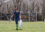 Raptor center retrieves dead eagle