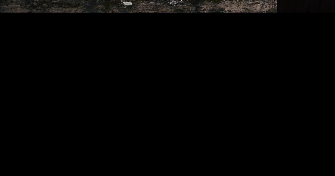 Didgeridoos, guitars set to float Snake River Fest Music