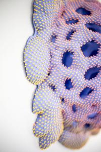 Dan Lam
