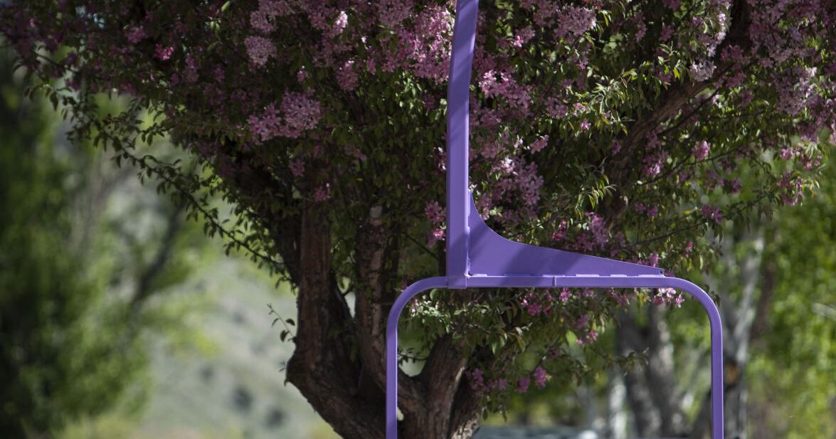 Ski town decor debuts - Vimarsana News