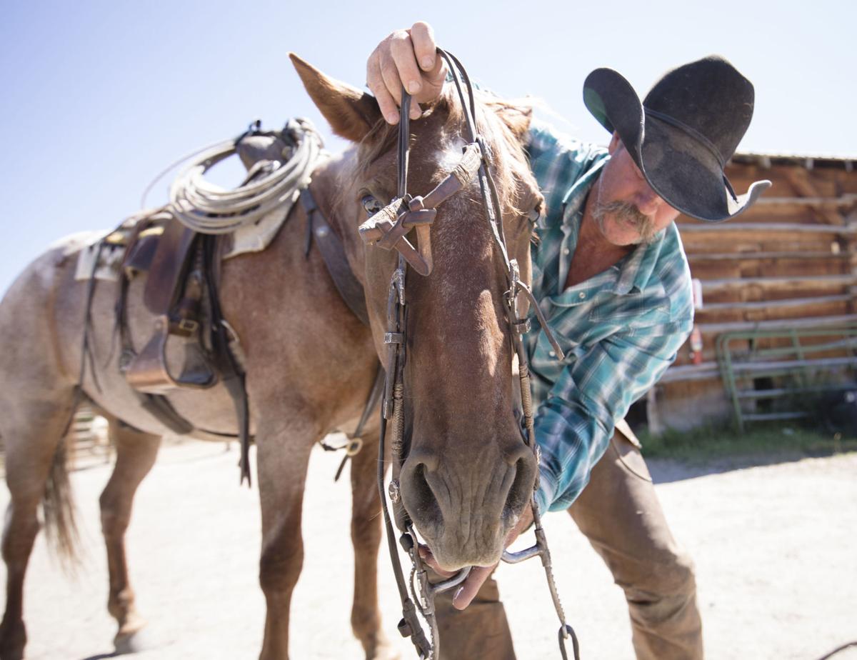 The man behind the Black Rock Ranger District horses, Jack Hatch