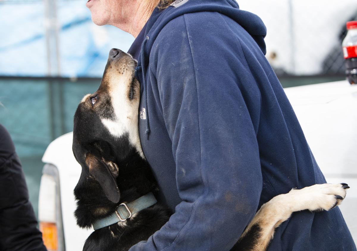 Vet checks before annual Stage Stop race begins