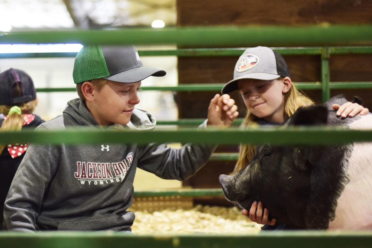 4-H release day