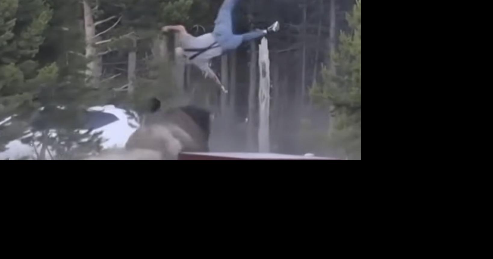 Bison gores 65-year-old in Yellowstone National Park