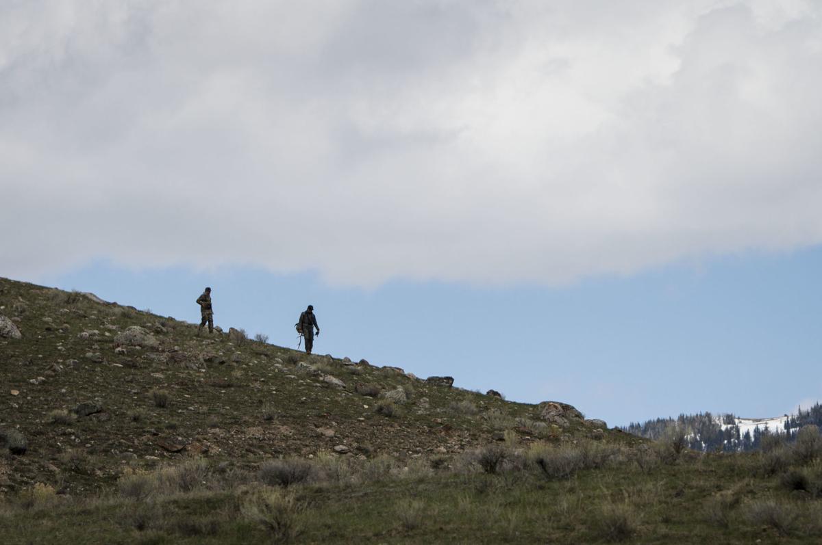 Antler hunt