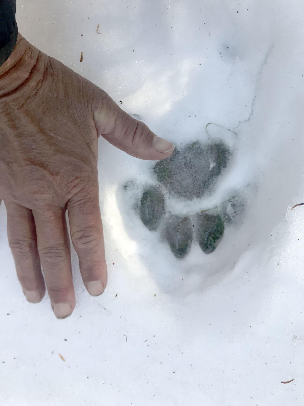 Mountainside: What good is goal setting, anyway | Outdoors ...