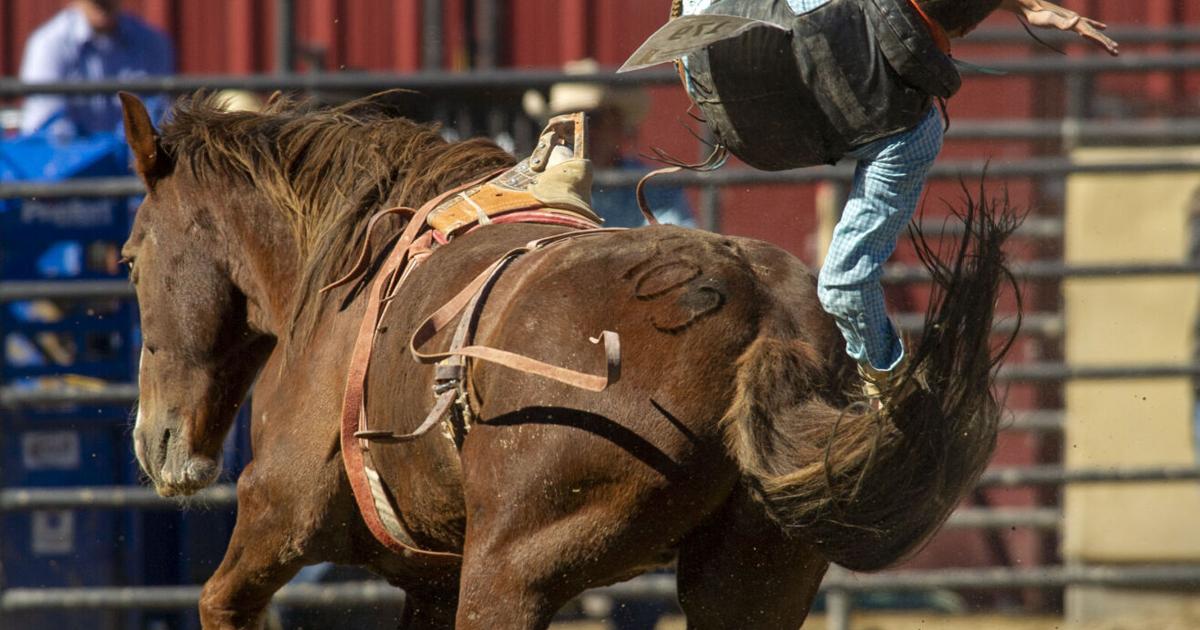 Fast, rough and wild rides | JH Rodeo | jhnewsandguide.com