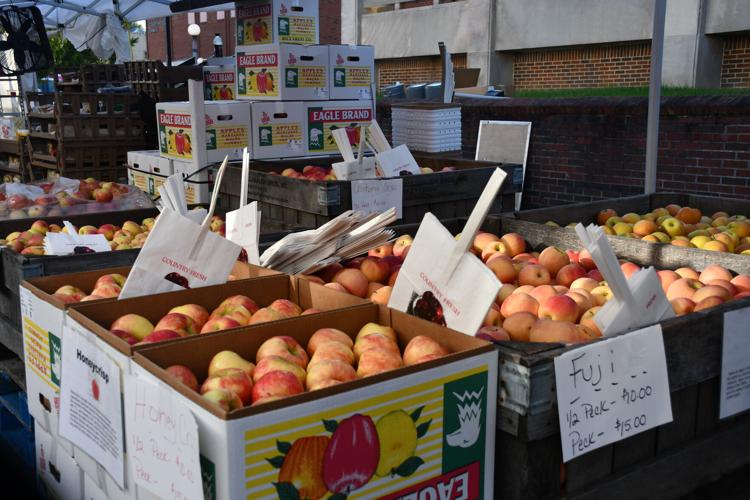 Unicoi County Apple Festival Features