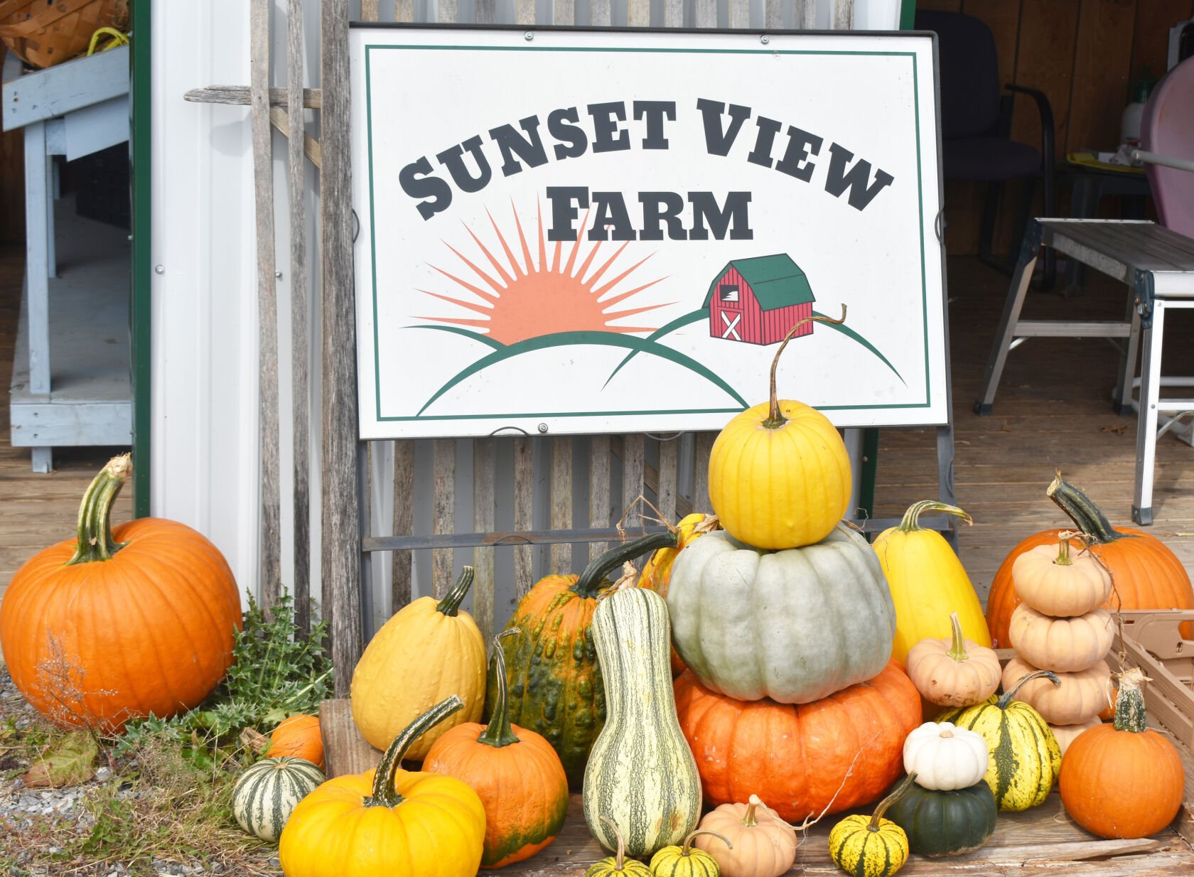 sunset view farms pumpkin patch