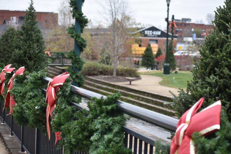 Stringing the Christmas tree lights at Founders Park Things to Do in