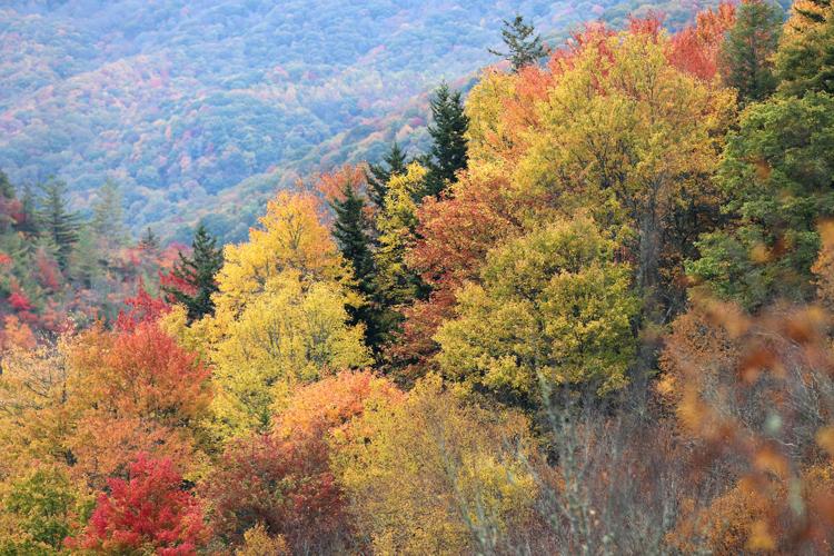 October is prime time for leafpeepers Features