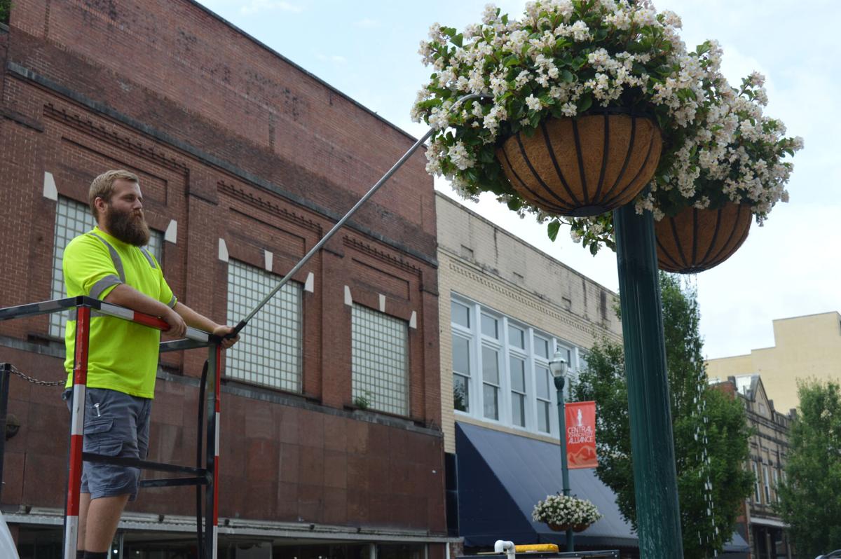 Downtown Flowers