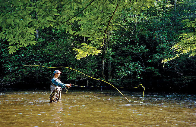 Fly-Fishing Primer