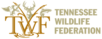 TWF logo2