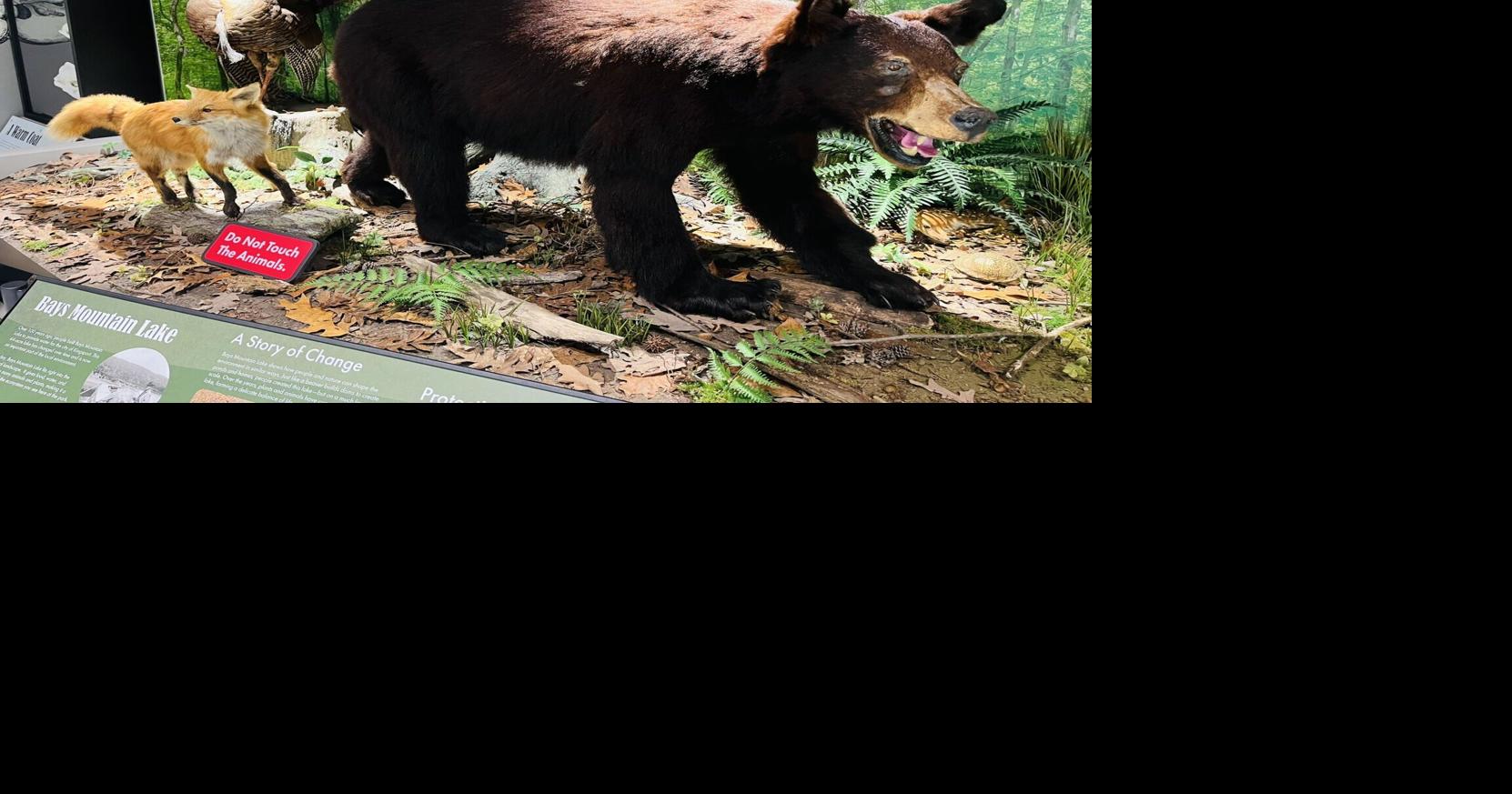 Arts and entertainment throughout the region | Arts & Entertainment