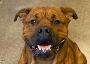 062825gus