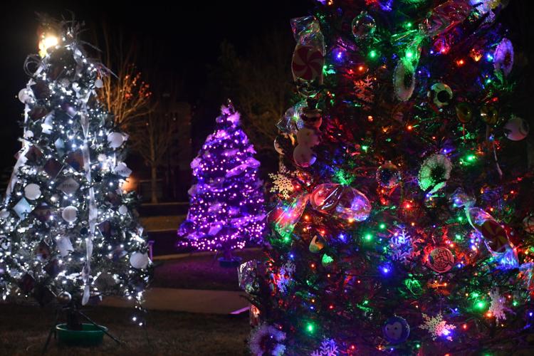 Candy Land Christmas trees now on display Local News