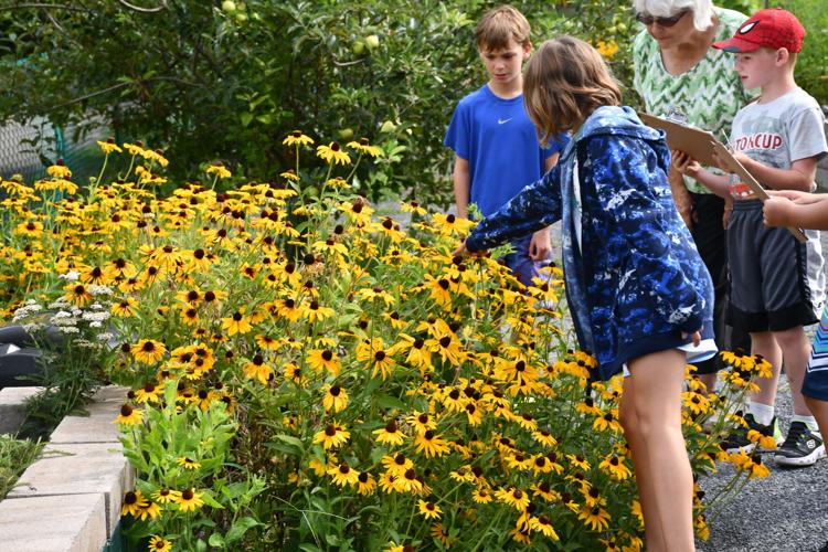 Master gardeners teaching children gardening basics during summer camp