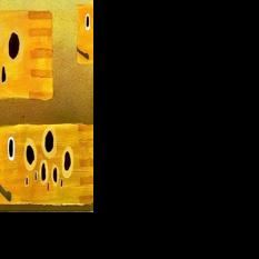 Fischman Gallery in Johnson City announces July exhibit | Arts & Entertainment