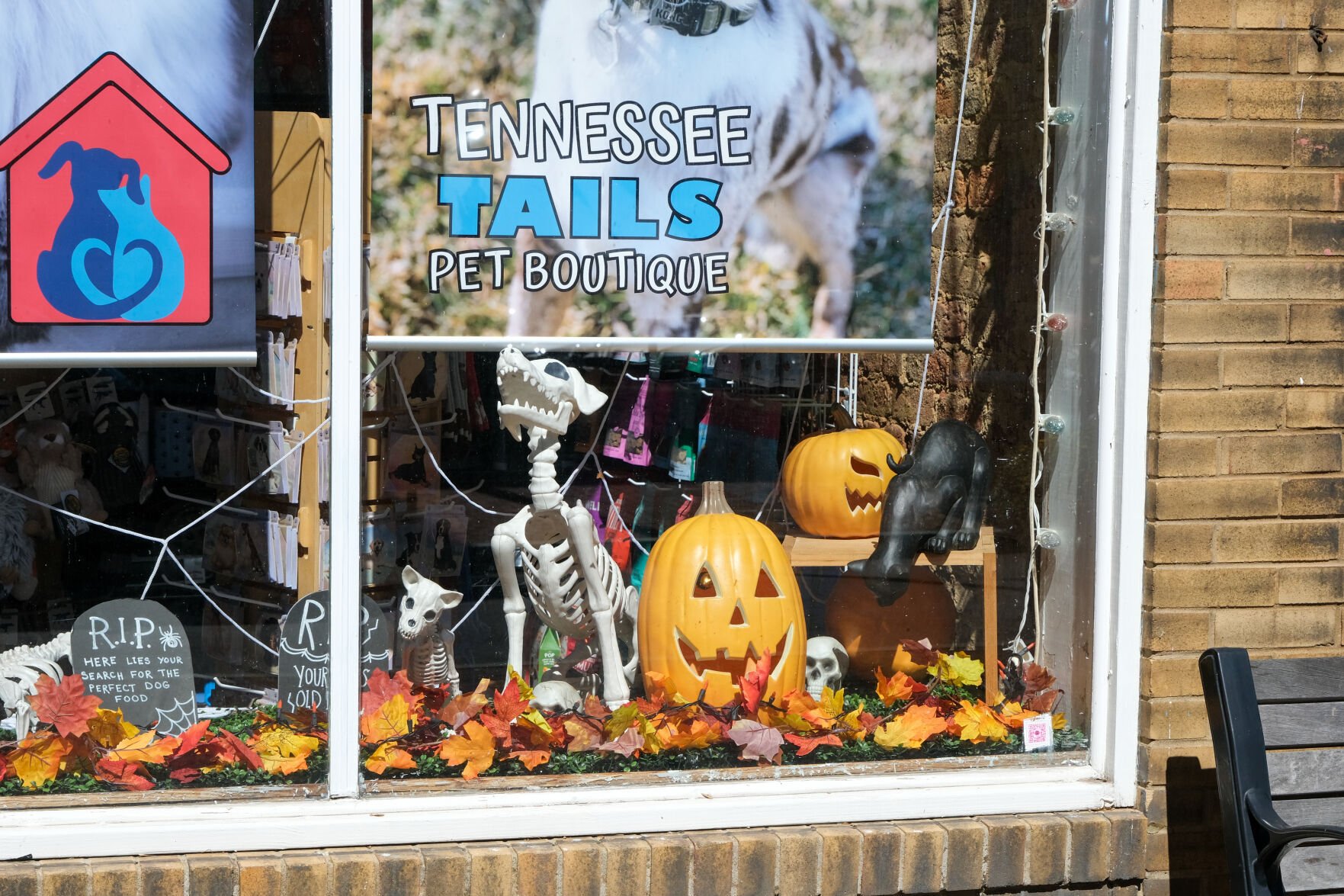 Tennessee Tails Pet Boutique hosting 3rd Lick or Treat Paw Parade