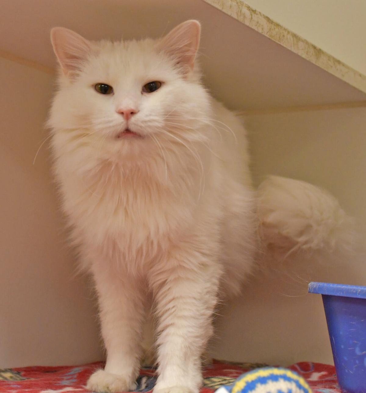 Casper
