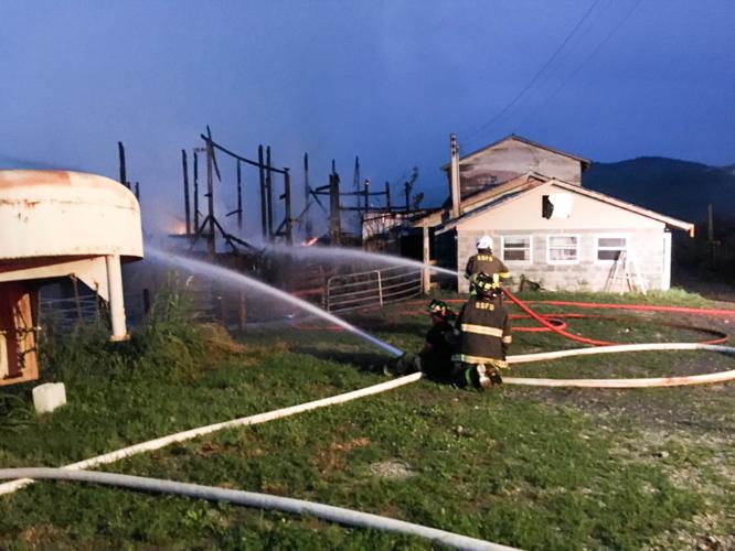 Dairy farm fire claims seven calves