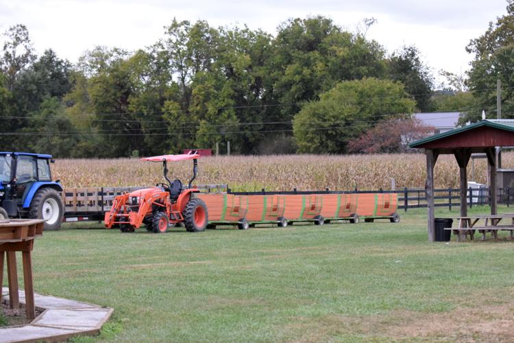 Fender’s Farm more popular destination each year Sports