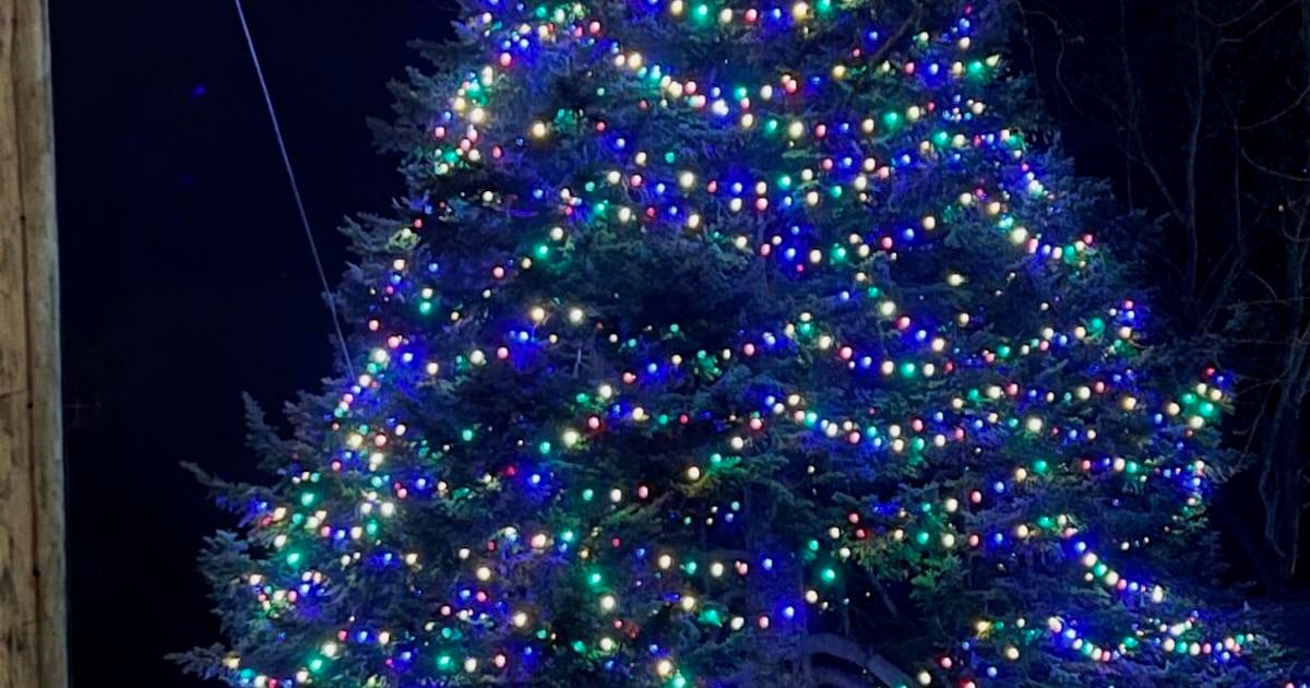 Downtown Elizabethton Christmas lights getting better and better | News ...