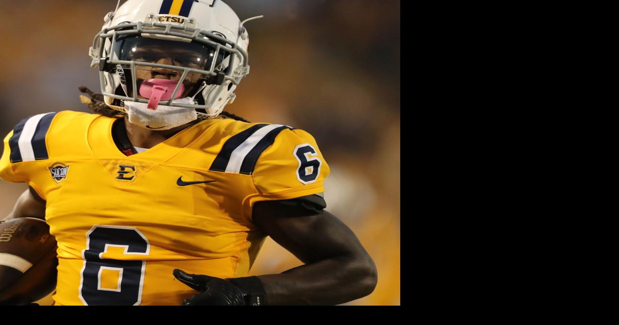 Two ETSU receivers suspended Sports