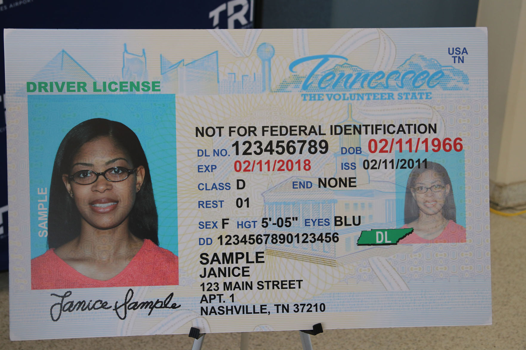 free tennessee drivers license template download