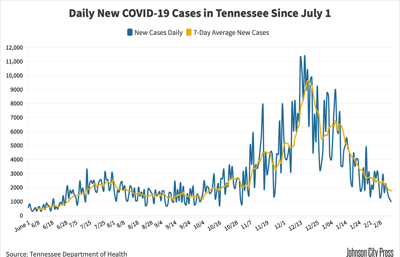 TN Curve@2x-89.png