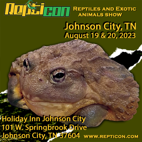 Repticon brings reptiles, exotic animals to Johnson City Tricitiesscene