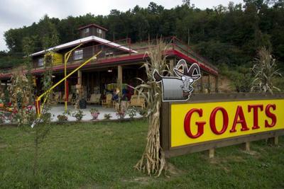 Goats On The Roof Roller Coaster Cleared To Resume Operation State Johnsoncitypress Com