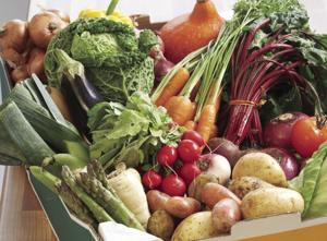Ask A Master Gardener: Vegetable gardening in July — succession planting and cover crops