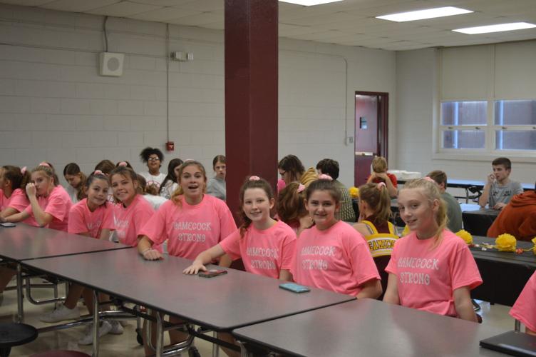 Sulphur Springs Athletics